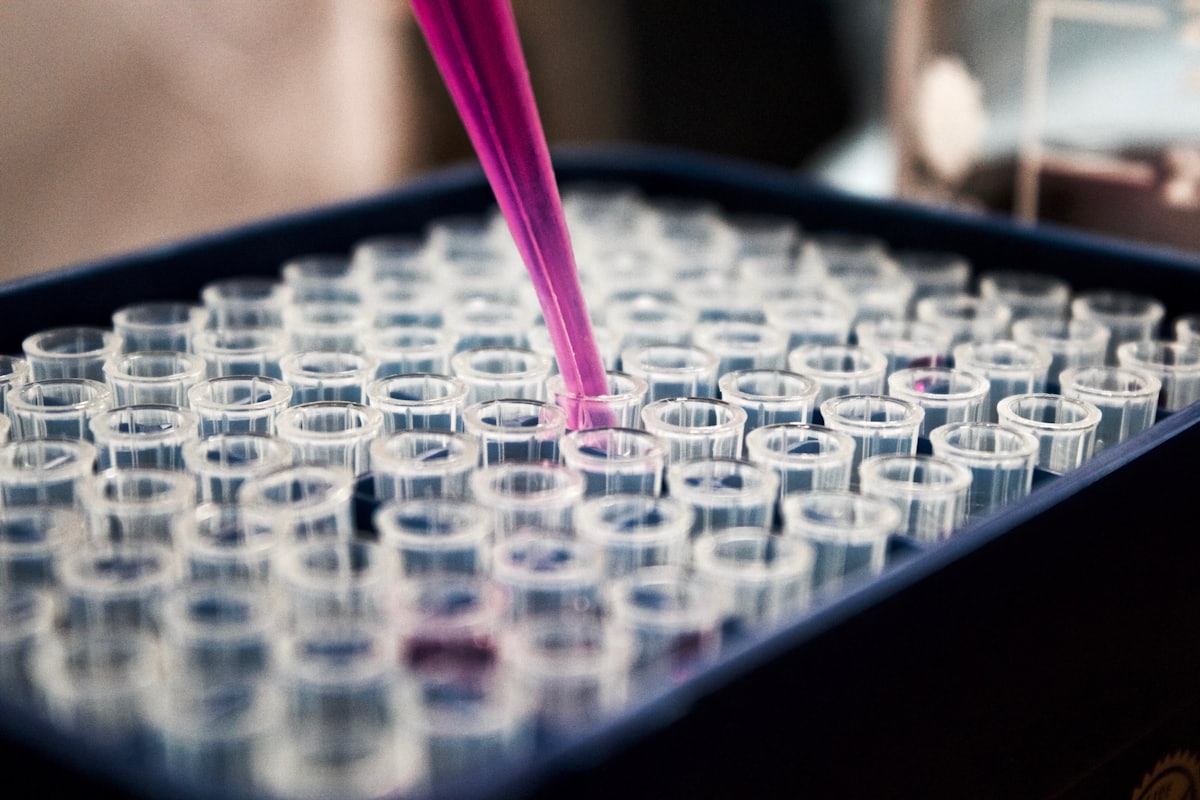 Our Research Pillars